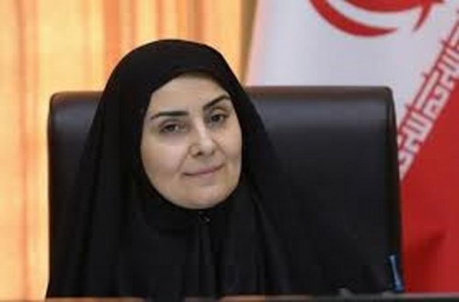 صادق: ترانزیت ایران به ۴۰ میلیون تن خواهد رسید